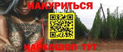 spice Камышлов