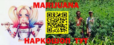spice Камышлов