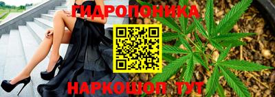 скорость Канаш