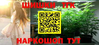 spice Камышлов