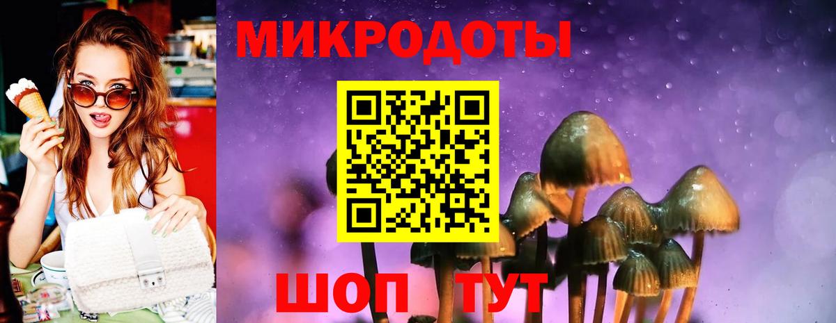 Псилоцибиновые грибы Psilocybine cubensis  Вход с VPN  Глазов 